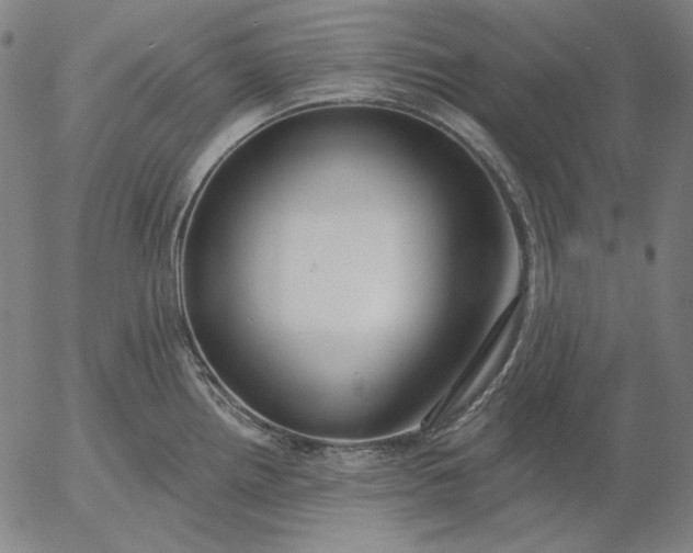 X0000056011242200509021722