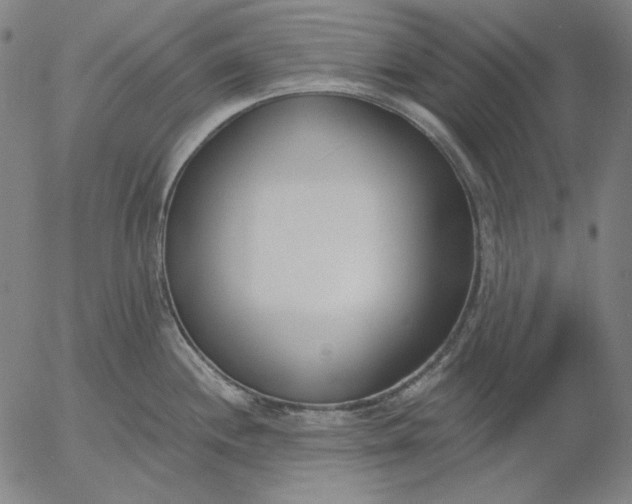 X0000056011244200509021722