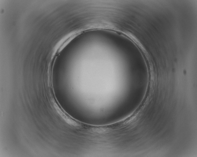 X0000056011246200509021722