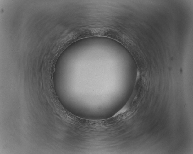 X0000056011249200509021721