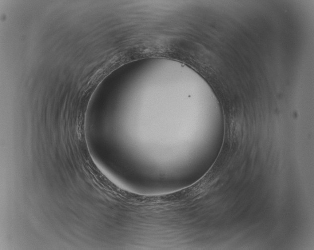 X0000056011250200509021721