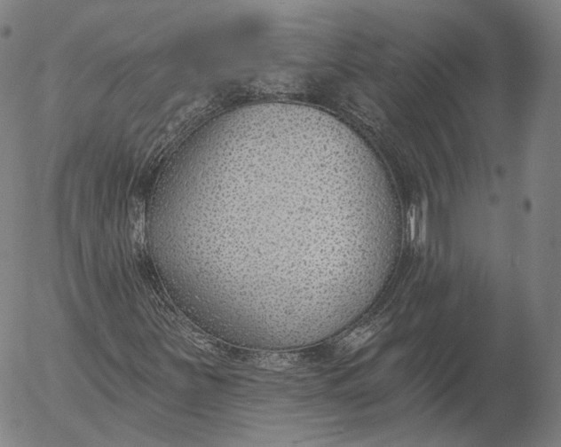X0000056011251200509021721