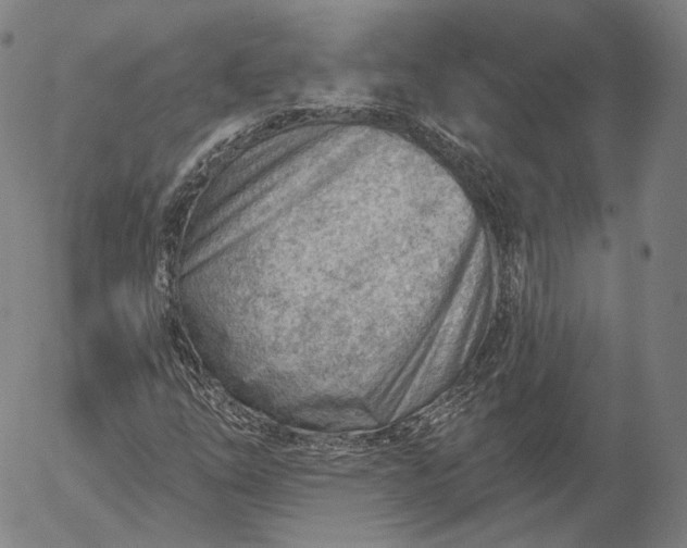 X0000056011254200509021721