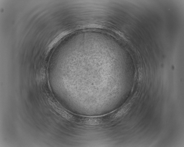 X0000056011266200509021721