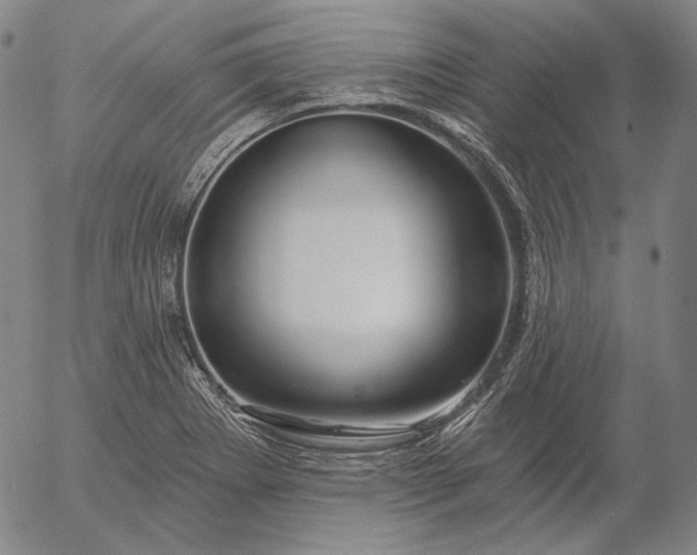 X0000056011273200509021720