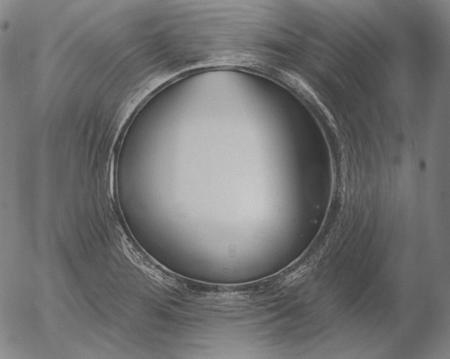 X0000056011276200509021720