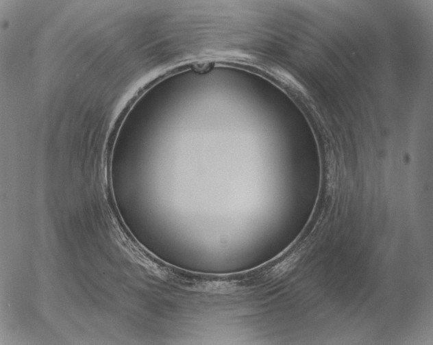 X0000056011280200509021720