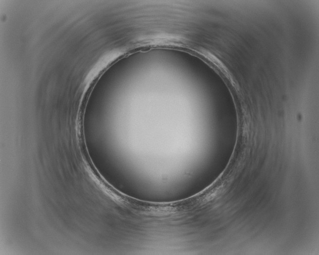 X0000056011285200509021720