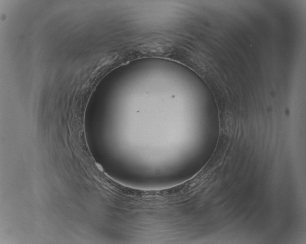 X0000056011297200509021719