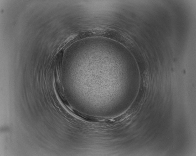 X0000056011298200509021719