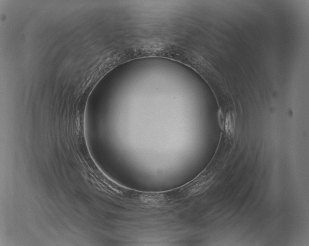 X0000056011299200509021719