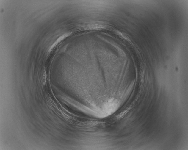 X0000056011306200509021719