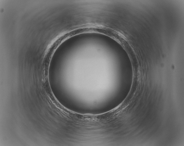 X0000056011310200509021719