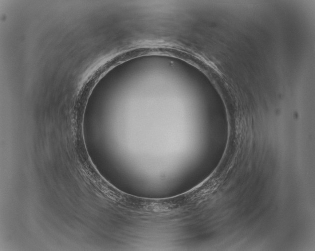 X0000056011311200509021719