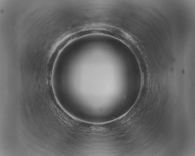 X0000056011312200509021719