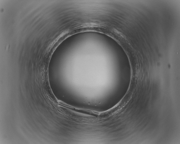 X0000056011313200509021720