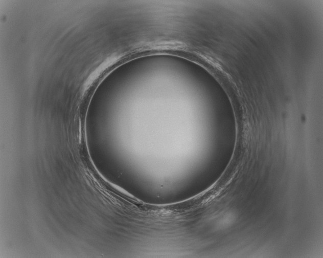 X0000056011317200509021720