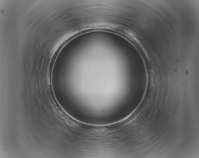 X0000056011328200509021720