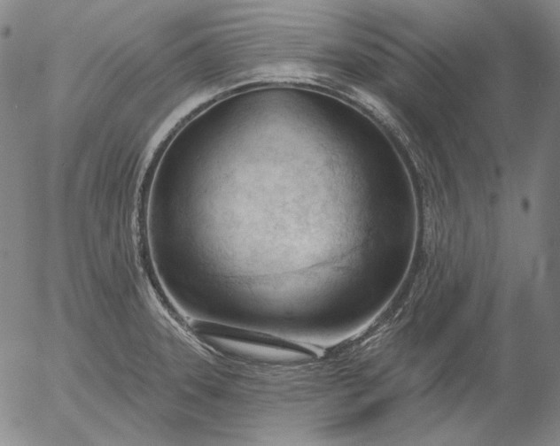 X0000056011331200509021720