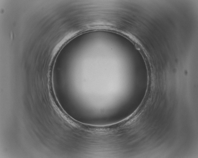 X0000056011333200509021720