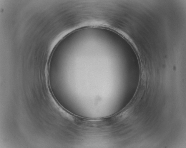 X0000056011343200509021720