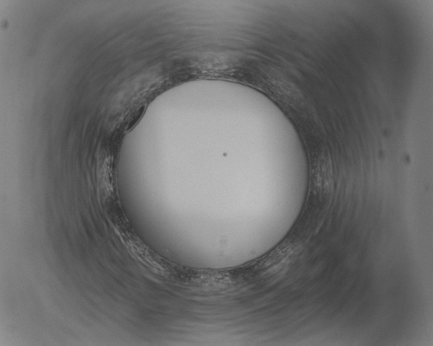X0000056011346200509021719