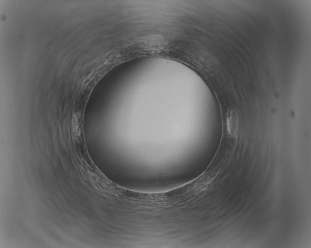 X0000056011347200509021719