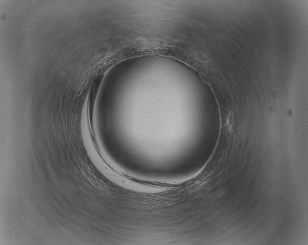 X0000056011348200509021719