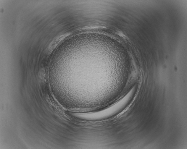 X0000056011353200509021719