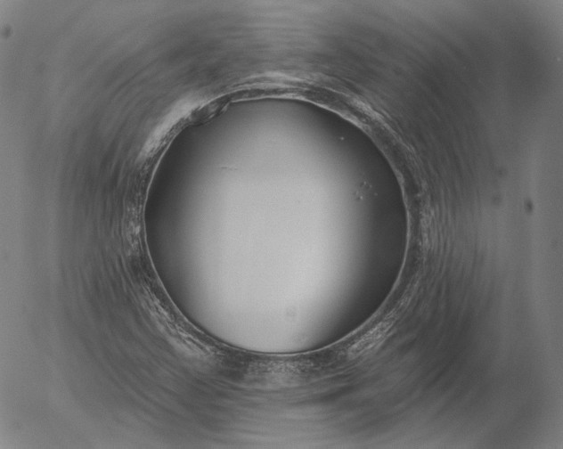 X0000056011355200509021719