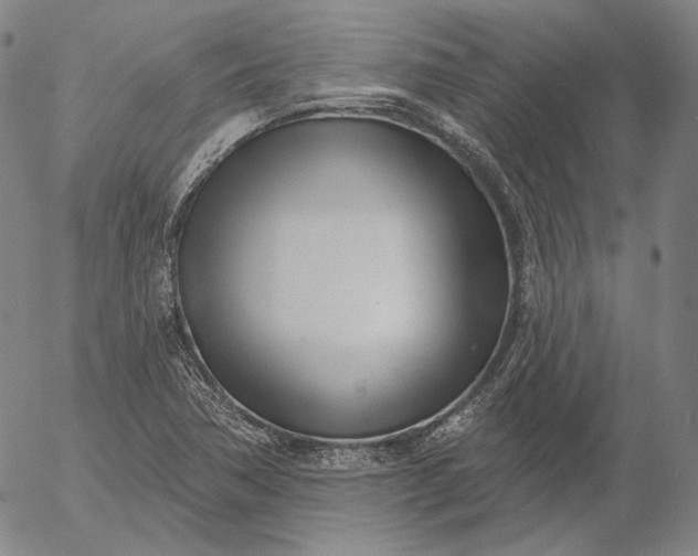 X0000056011362200509021719