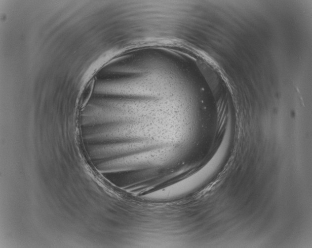 X0000056011373200509021719
