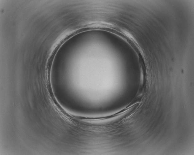 X0000056011376200509021719