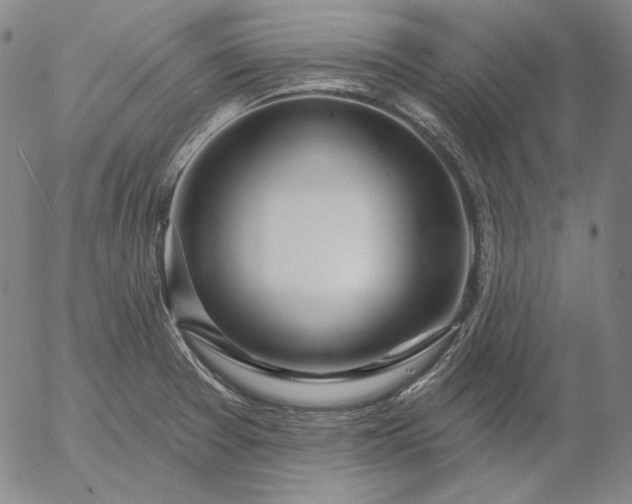 X0000056011377200509021719