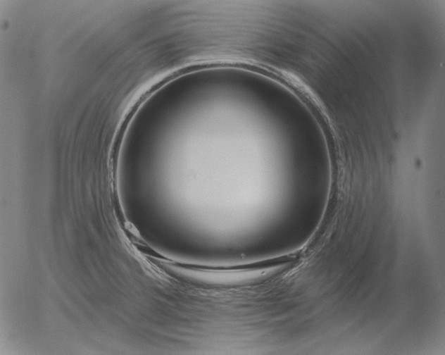 X0000056011380200509021719