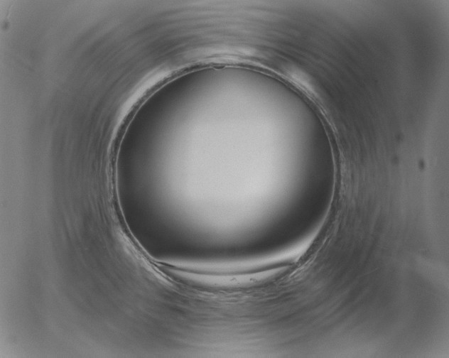 X0000056011384200509021719