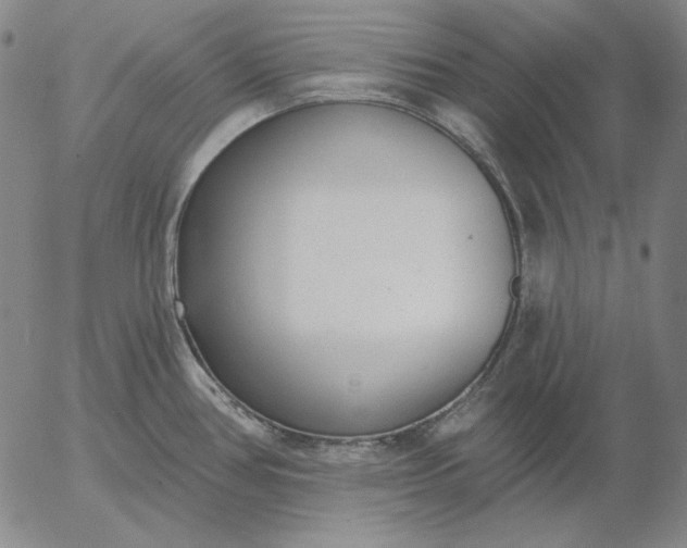 X0000056011386200509021719