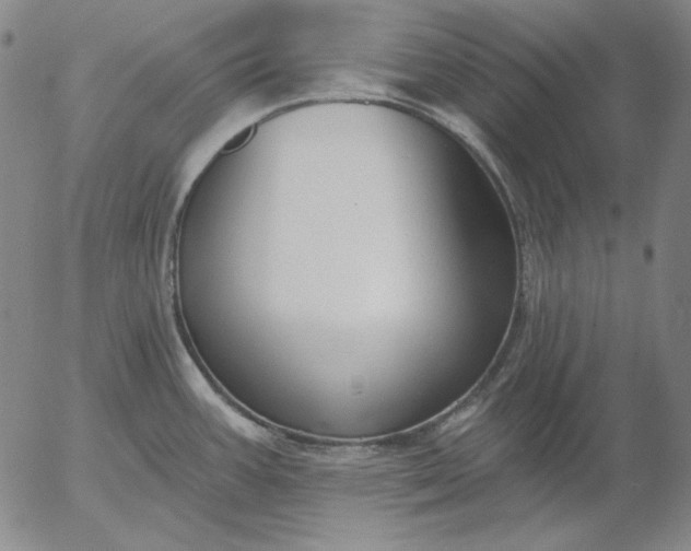 X0000056011387200509021719