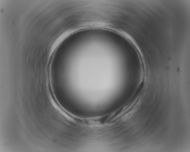 X0000056011389200509021718