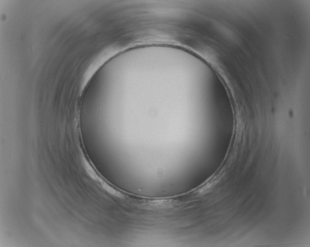X0000056011390200509021718
