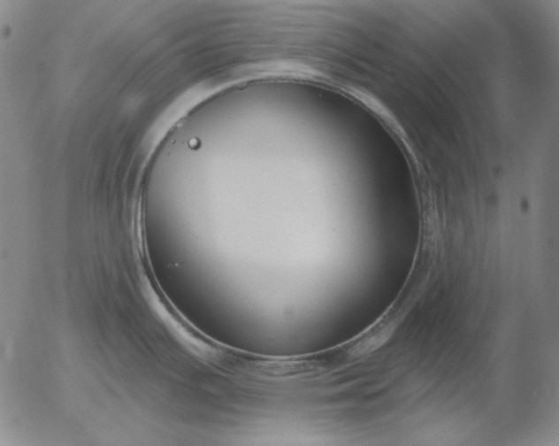 X0000056011391200509021718