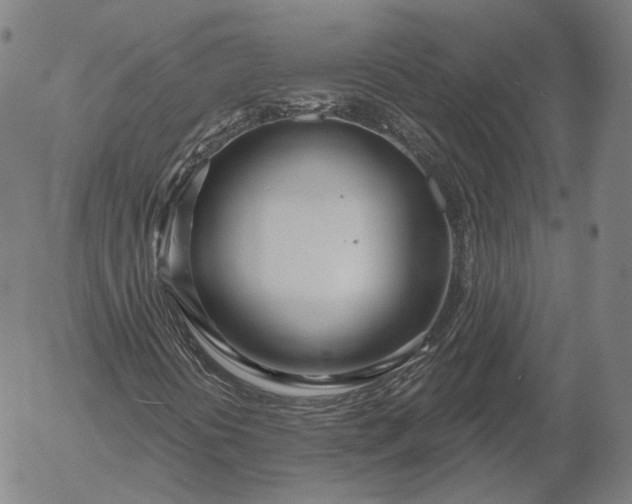 X0000056011394200509021718