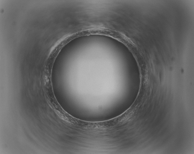 X0000056011400200509021718