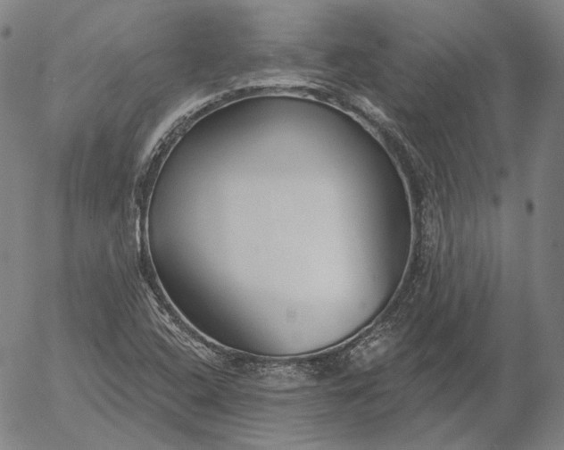 X0000056011408200509021718