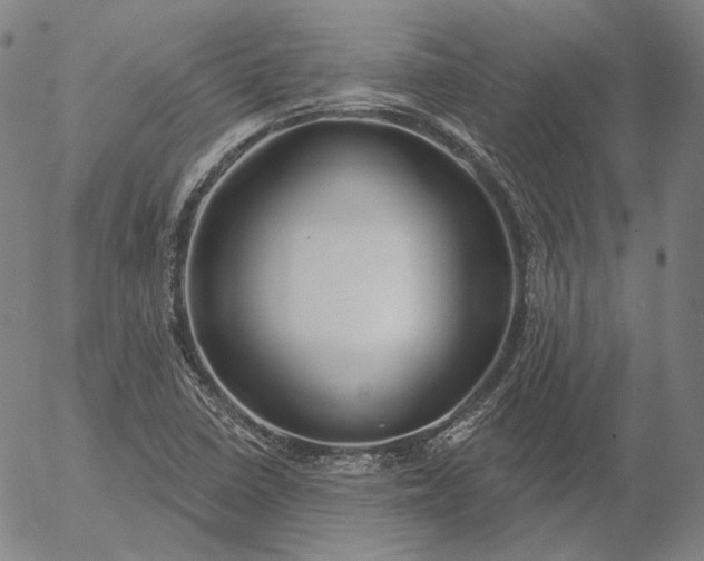 X0000056011410200509021718