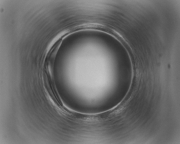 X0000056011418200509021718