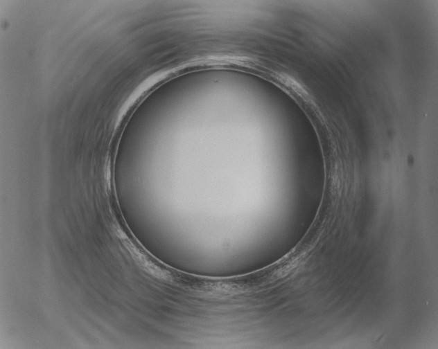 X0000056011420200509021718