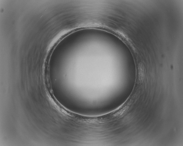 X0000056011422200509021718
