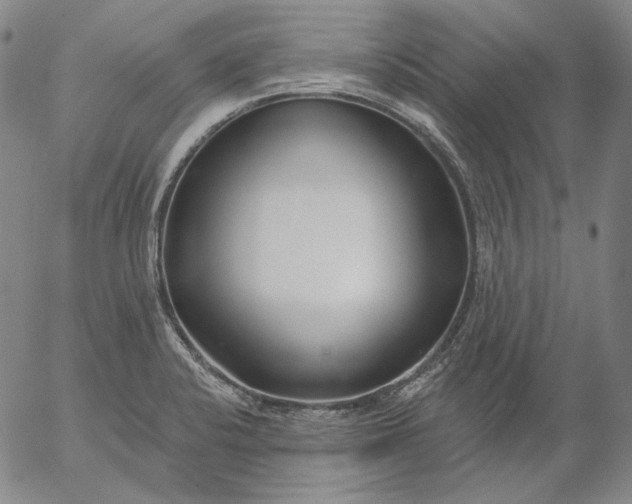 X0000056011424200509021718