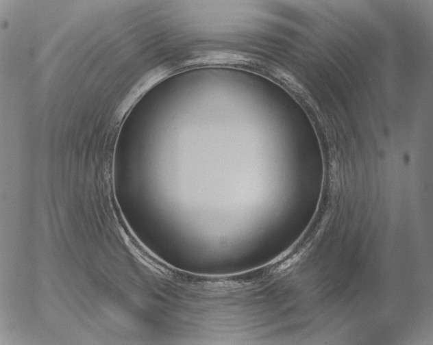 X0000056011425200509021718